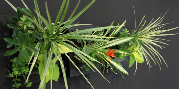 観音パークマンション サントリーミドリエ フレーム設置