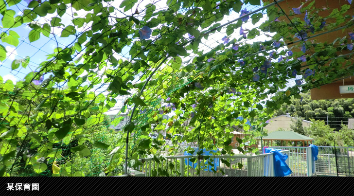 某保育園