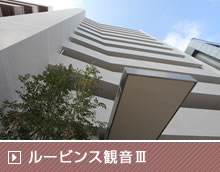 ルービンス観音Ⅲ