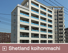 Shetland koihonmachi